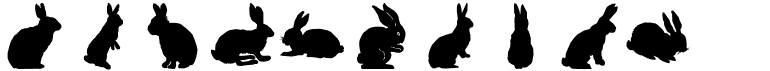 LP Rabbits 1